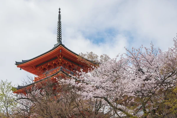 Kyoto, Japonya bahar Kiyomizu-dera Tapınağı'nda