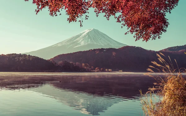 kırmızı çerçeve akçaağaç yaprağı ve mt. Fuji, vintag