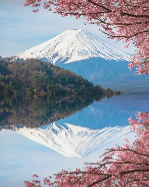 Montaña Fuji en primavera, flor de cerezo Sakura —  Fotos de Stock