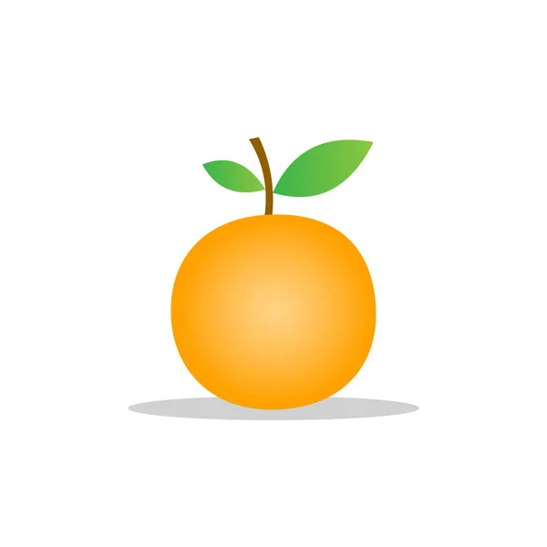 Illustration Vectorielle Conception Des Fruits Orange Texture Orange Blanc Isolé — Image vectorielle