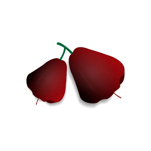 Illustration Vectorielle Dessin Des Fruits Eau Goyave Blanc Isolé Design — Image vectorielle