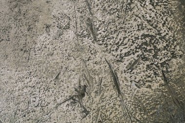 Arka planda lekeler olan gri beton duvar