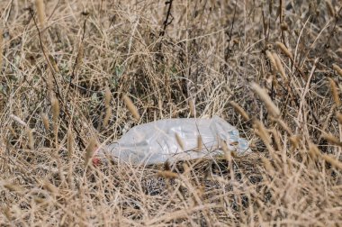 Sahada buruşmuş plastik şişe, çevre kirliliği