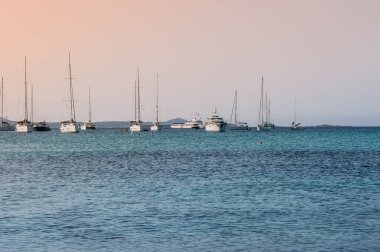 Günbatımında güzel bir deniz. Arka planda yelkenliler ve dağlar. Sardunya.