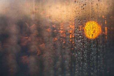 Camların arkasında günbatımının makro fotoğrafı. Nikon D7100