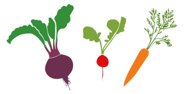 Pancar, turp ve yapraklı havuç ikonları. Renkli sebze çizimi. Yapraklı taze organik sebzelerin düz simgeleri. Sağlıklı bir diyet için vejetaryen ve vejetaryen yiyecekler. Beyaz arkaplan üzerinde izole edilmiş.