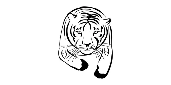 Tête Noire Tigre Eau Portrait Animal Illustration Pour Calendrier Chinois — Image vectorielle