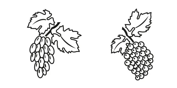 Üzüm Seti Yapraklı Üzümler Demeti Beyaz Arkaplanda Siyah Simgeler Llüzyon — Stok Vektör