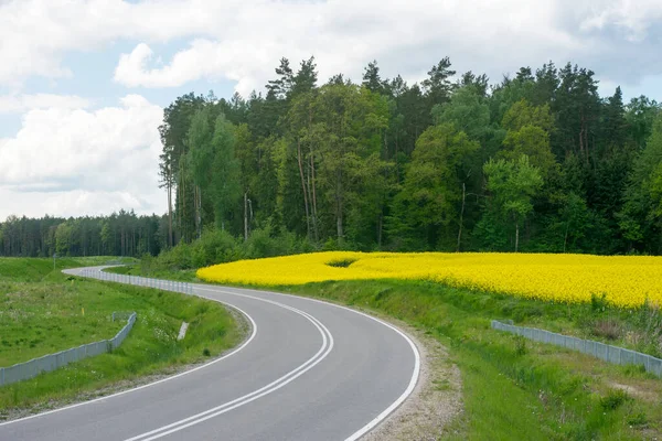 View Road Background Yellow Rape Field Blue Sky White Clouds — Stock Photo, Image