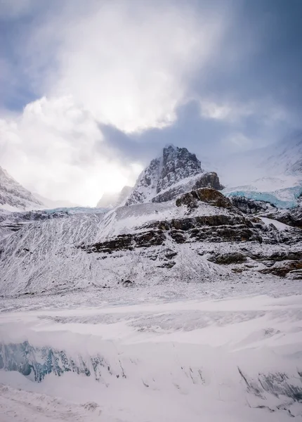 加拿大阿萨巴斯卡冰川 — 图库照片