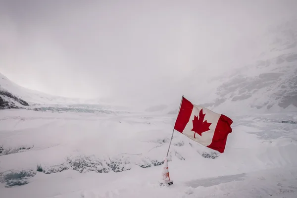 Ghiacciaio canadese Athabasca — Foto Stock