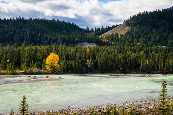 Lago e montagne paesaggio — Foto Stock