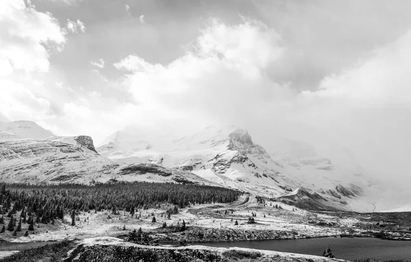 Kanadensiska Athabasca Glacier — Stockfoto