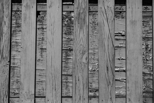 Wooden texture — Stock Photo, Image