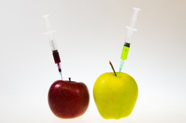 Genetik modifikasyon