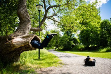 Young man looks like he is being eaten by a big tree in the park clipart