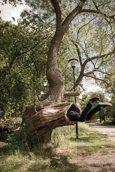 Молодой человек выглядит так, будто его съедает большое дерево в парке. — стоковое фото