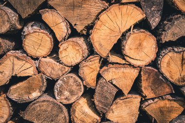 ahşap doku arkaplanı