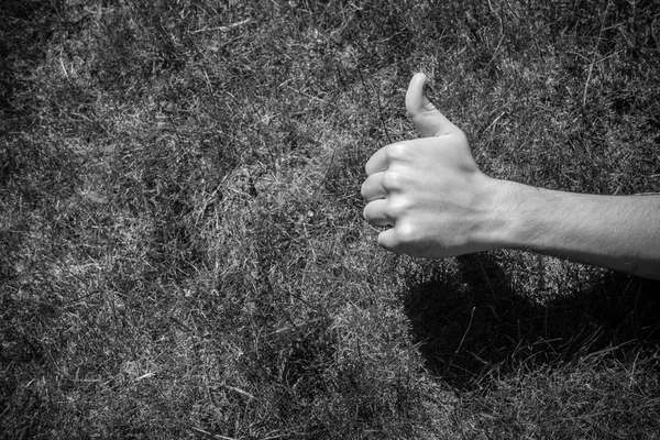 Tummen upp på gräset — Stockfoto