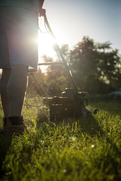 Jeune homme tondre l'herbe — Photo