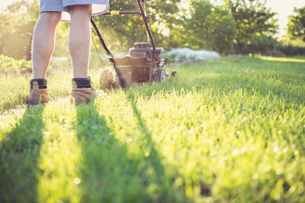 Ung man klipper gräset — Stockfoto