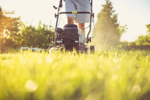 Young man mowing the grass — Stock Photo, Image