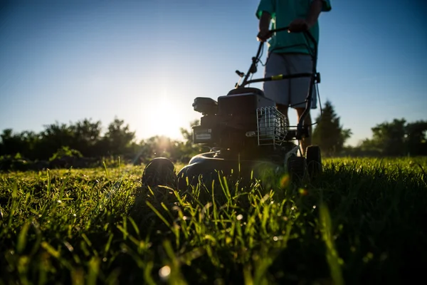 Young man mowing the grass — Stock Photo, Image