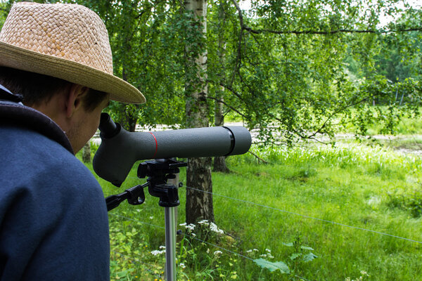 Birdwatching