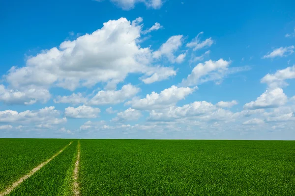 Grass road and the sky — Stock Photo, Image