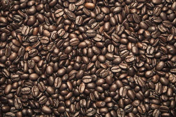 Coffee Beans — Stock Photo, Image