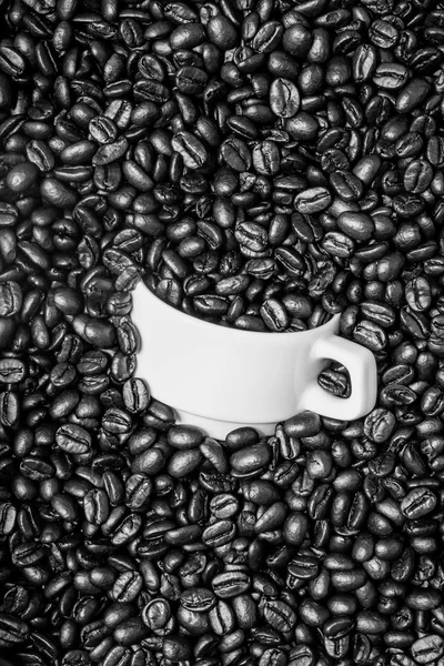 Coupe dans les grains de café — Photo