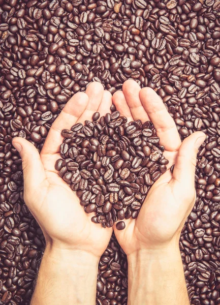 Pair of hands holding coffee beans — Stock Photo, Image