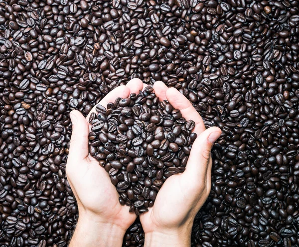 Par de manos sosteniendo granos de café — Foto de Stock