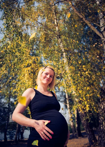 Smukke gravide kvinde portræt - Stock-foto