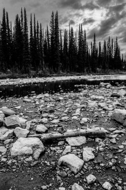 Kayalar ve orman Kanada