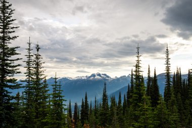 Kanada'da dağ manzarası