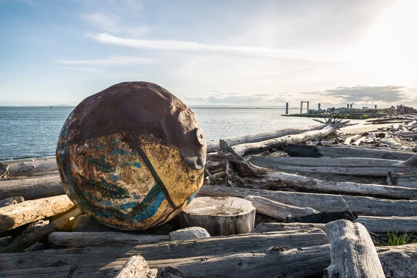 Ocean debree in Vancouver — Stockfoto