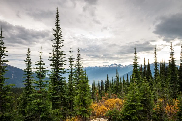 Berglandschap in Canada — Stockfoto