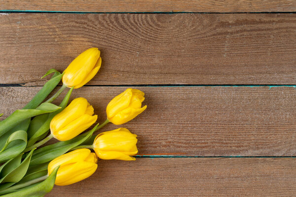 Tulips on wooden background