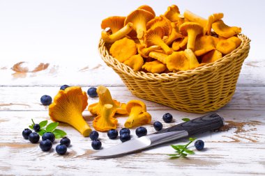 Sarı chanterelles, bıçak ve ahşap bir masa üzerinde yaban mersini