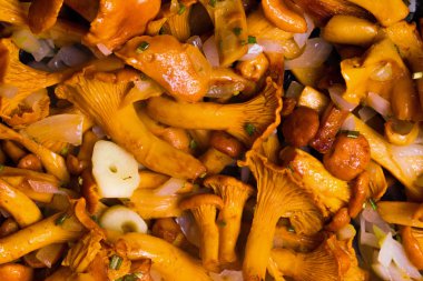 Soğan, sarımsak ve biberiye ile kızarmış sarı chanterelles