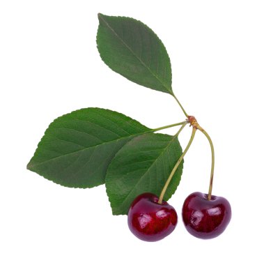 beyaz arkaplanda kiraz