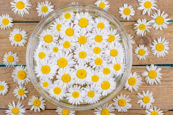 Camomilas em uma chapa em uma mesa — Fotografia de Stock