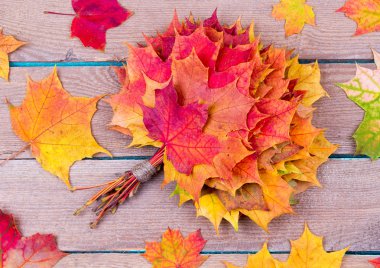 akçaağaç yaprakları gelen buket