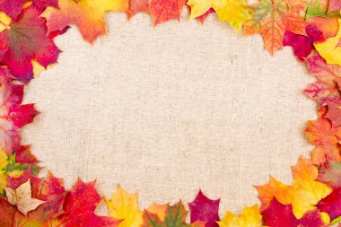 Sonbahar akçaağacı arkaplanı terk eder