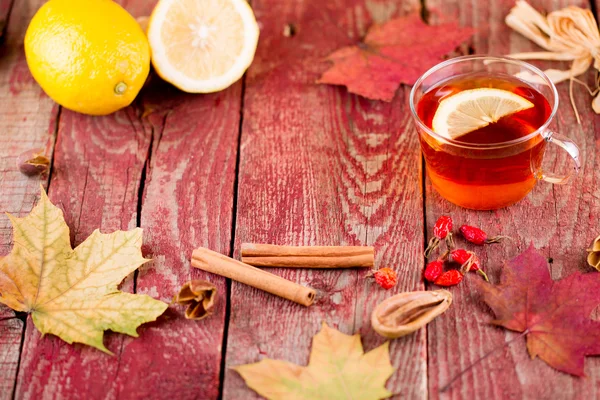Chá de outono — Fotografia de Stock