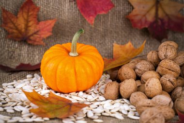 Tatlı küçük kabak ve tohumlar üzerinde çuval bezi