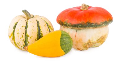 Beyaz arkaplanda balkabakları