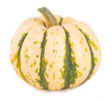 beyaz arkaplanda balkabağı