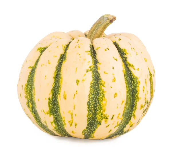 Pumpkin on a white background — Stock Photo, Image